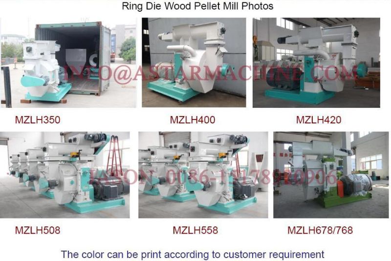 Capacity 2t/H Biomass Rice Husk Straw Sawdust Wood Pellet Production Making Machine/Sawdust Pellet Mill Machine for Sale