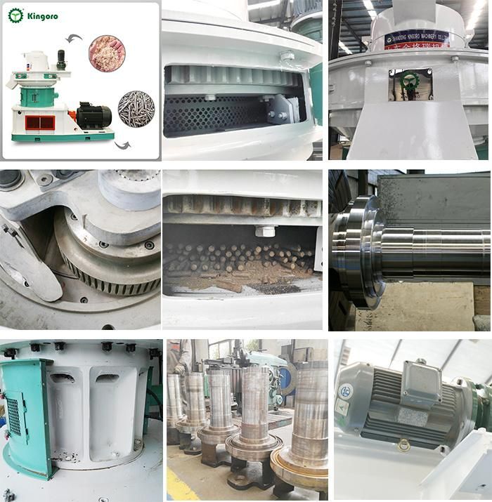 Made in China Vertical Ring Die Biomass Wood Pellet Machine for Sale