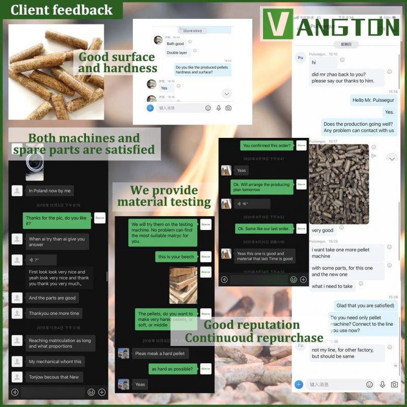Vangton Biomass Wood Pellet Machine Production Line for Spruce Beech Sawdust Rice Husk Biofuel Plant