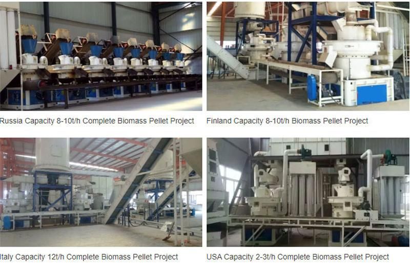 Widely Used Large Capacity 10tph Automatic Biomass Wood Pellet Production Line for Biomass Fuels