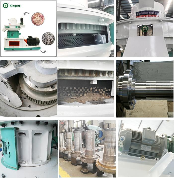 High Efficiency Wood Pellet Machine with Ring Die and Control Cabinet