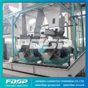 Sawdust Pellet Production Plant Ce/ISO/SGS Wood Biomass Granulating Machine