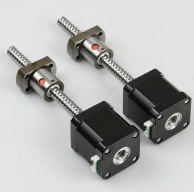 Exceptional Endurance Ball Screw Hybrid Linear Stepper Motors with Different Types of Leadscrews/Nuts