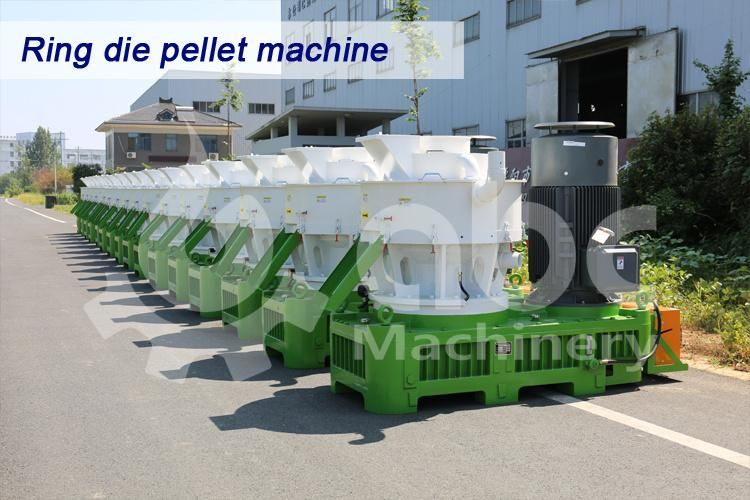 2021hotsale Industrial Complete Customized Big Straw Rice Husk Biomass Sawdust Wood Pellet Plant for Large Scale Wooden Log Chips Fuel Pelletizing Production