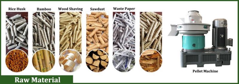 China Sawdust Straw Rice Husk Fuel Power Coconut Peanut Shell Palm Leaf Bagasse Waste Branch Tree Bark Ring Die Biomass Wood Pellet Machine for UK/Sales