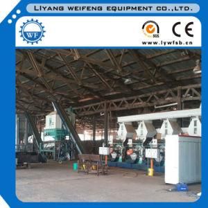 Top Quality Ce Sawdust/Branch/Wood Pellet Production Line with Factory Price