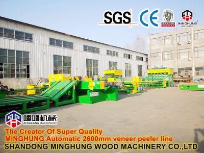 Rotary Peeling Machine for Wood Oak Pine Mango