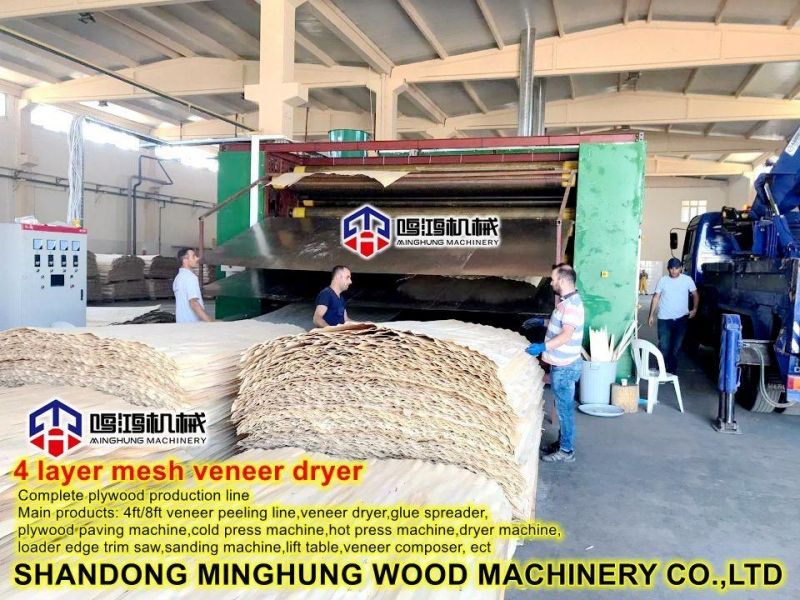 Mesh Dryer for Drying Plywood Veneer Papel