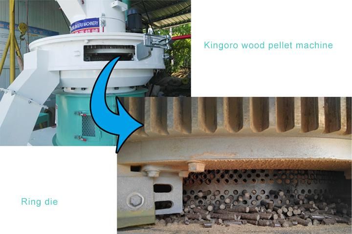 Malaysia Coffee Husk Wood Pellet Mill Machine Szlh560