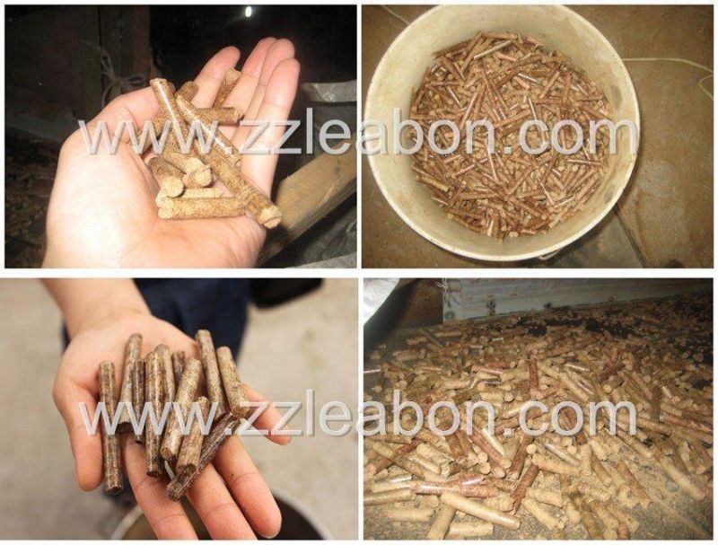 1-2t/H Biomass Pellet Machine Automatic Biomass Wood Pellet Making Line Pto Wood Pellet Mill Wood Pellet Machine Price for Sale