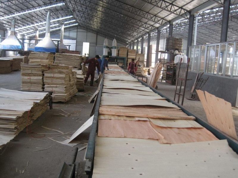 30m Automatic Plywood Assemble Machine