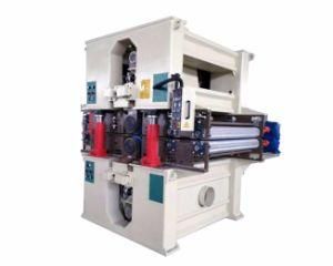 Two Heads Double Side Sander mm5613