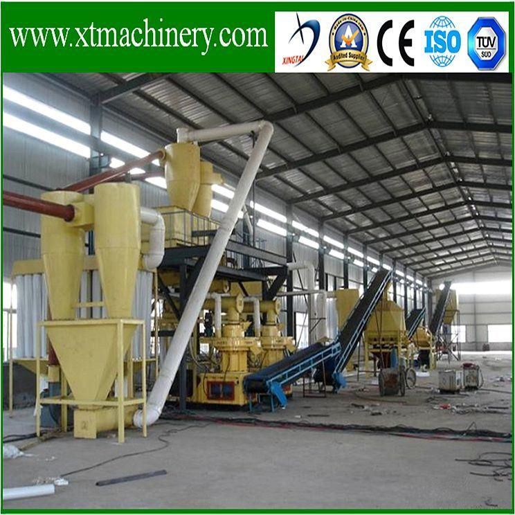 Straw, Stalk, Rice Hull, Palm Branch, Wood Sawdust Pellet Mill with Ce