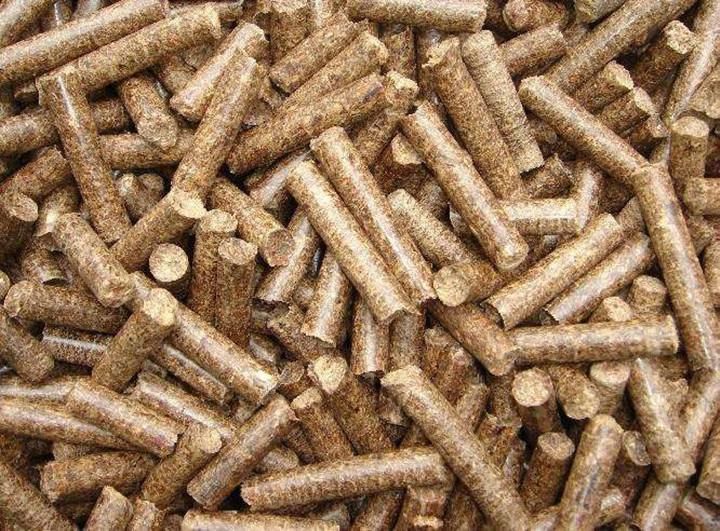 Wood Pellet Mill Factory Supply