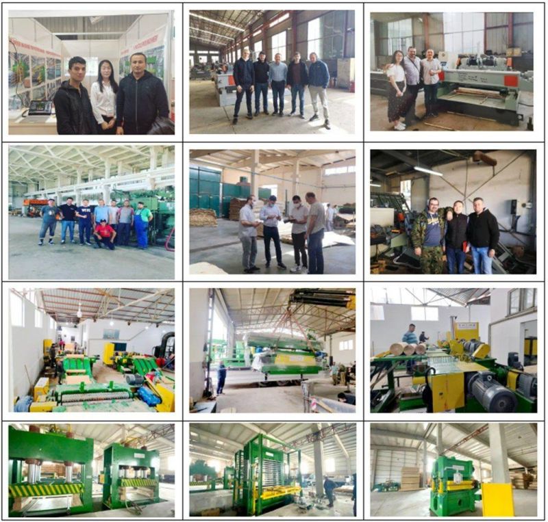 Wood Papel Veneer Processing Peeling Machine