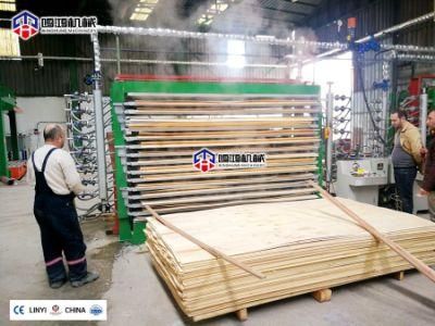 Plywood Manufacturing Machine Plywood Production Line