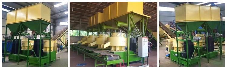 Complete 1t/H Wood Sawdust Biomass Pellet Machine Line Sawdust Pellet Production Line