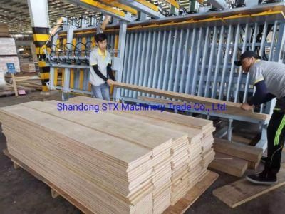 Top Quality Hydraulic Clamp Carrier Machine for Egineering Board 6200mm