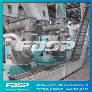 CE Approved Biomass Wood Sawdust Fuel Pellet Mill Plant