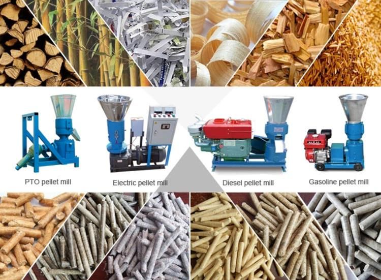 Professional Biomass Wood Sawdust Pellet Machine