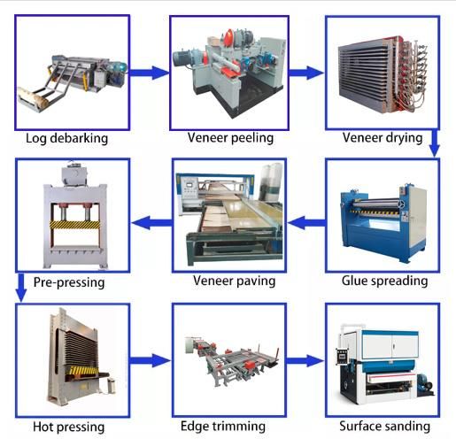 Veneer Sawing Cutting Machinery/Plywood Working Line Facility/High Quality Device/Cutting Machinery/Perfect Facility