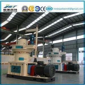 Ce/SGS Ring Die Biomass Pelletizing Machine Wood Dust Pellet Making Machine