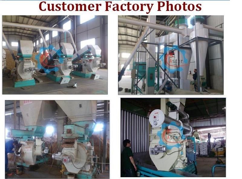Output 1t/H Ce Approved Wood Pellet Mill With Automatic Lubrication Machine