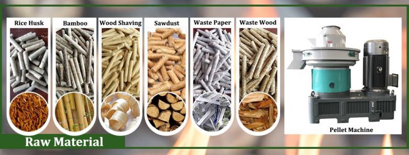 1-2t/H Biomass Ring Die Wood Chips Sawdust Bagasse Pellet Mill
