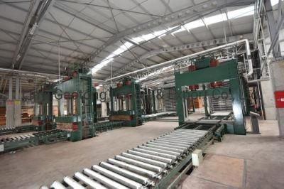 Plywood Production Line