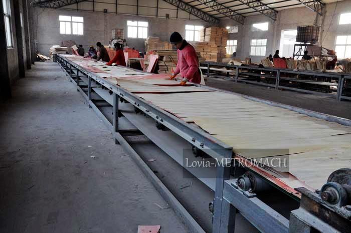 Plywood Assembly Line for Veneer Paving Machine