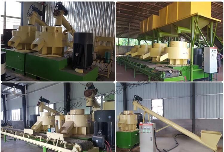 Automatic Biomass Wood Pellet Processing Plant Capacity 300 Kg/Hour