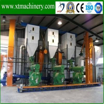 Environmental Protection, Coal Replacement, Biomass Wood Pellet Line