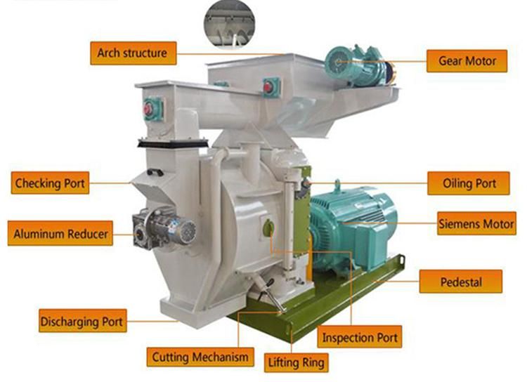 Sawdust Wood Pellet Machine for Making Wood Pellet