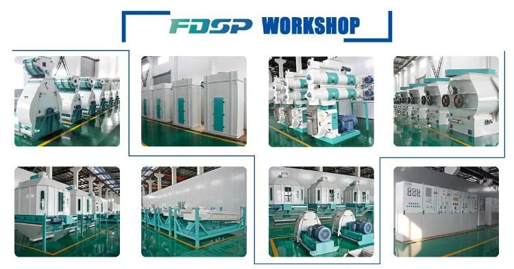 Pellet Machine for Feed High-Grade Commercial Poultry Feed Machine