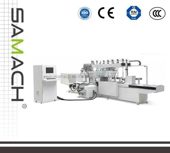 Six Heads CNC Bilateral Copying Milling Machine