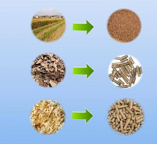 China High Quality and Energy Saving Biomass Wood Pellet Machine Wood Swdust Pellet Production Machine Biomass Pellet Mill Price