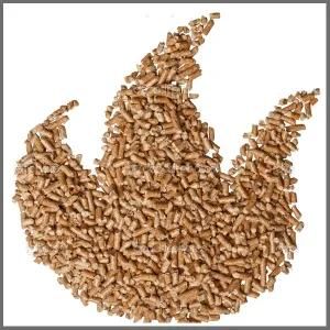 Wood Pellet Mill Pelletizer Granulator Machine for Biomass Biofuel Energy Products of Generator Plant