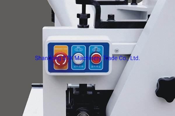 Heavy Duty Surface Planer Woodworking Machinery Two Sides with CE
