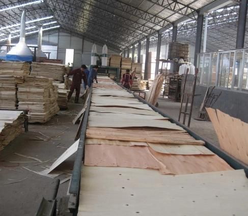 MDF Production Line/Veneer Paving Machine for Plywood