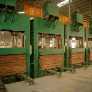 Plywood Making Machine for New Plant with High Efficency
