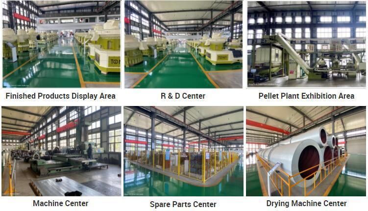 High Effective 2-3ton/Hr Wood Pellet Production Line Wood Pellet Mill Line Wood Chips Pellet Production Line Efb Pellet Line Biomass Sawdust Pellet Plant