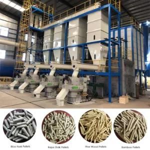 185kw Professional China Factory Biomass Wood Sawdust Pellet Mill/Ring Die Pellet Press