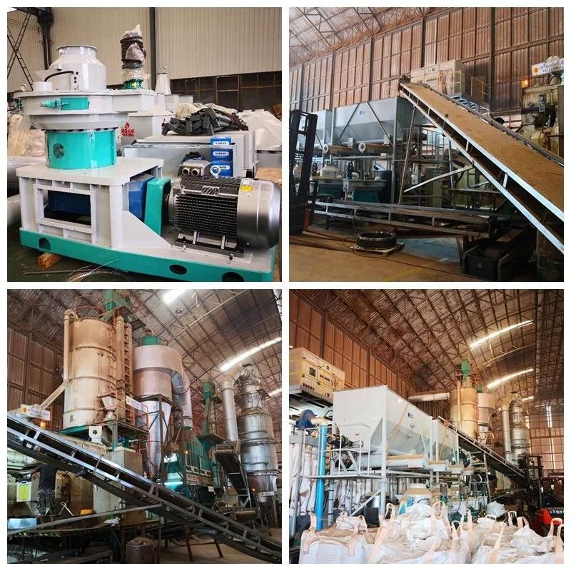 China Professional Good Price 132kw Biomass Wood Pellet Mill Machine Straw Ring Pellet Mill for Sale