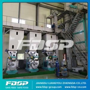 Small 1tph Rice Husk Pellet Production Line with Ce Certificate