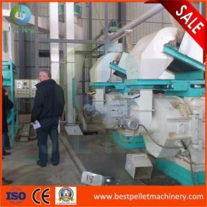 Complete Pellet Production Line, Wood Pellet Machine Line