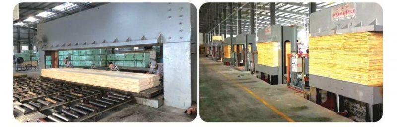 Linyi Woodworking Machine Factory Cold Press Machine with Semi Loader