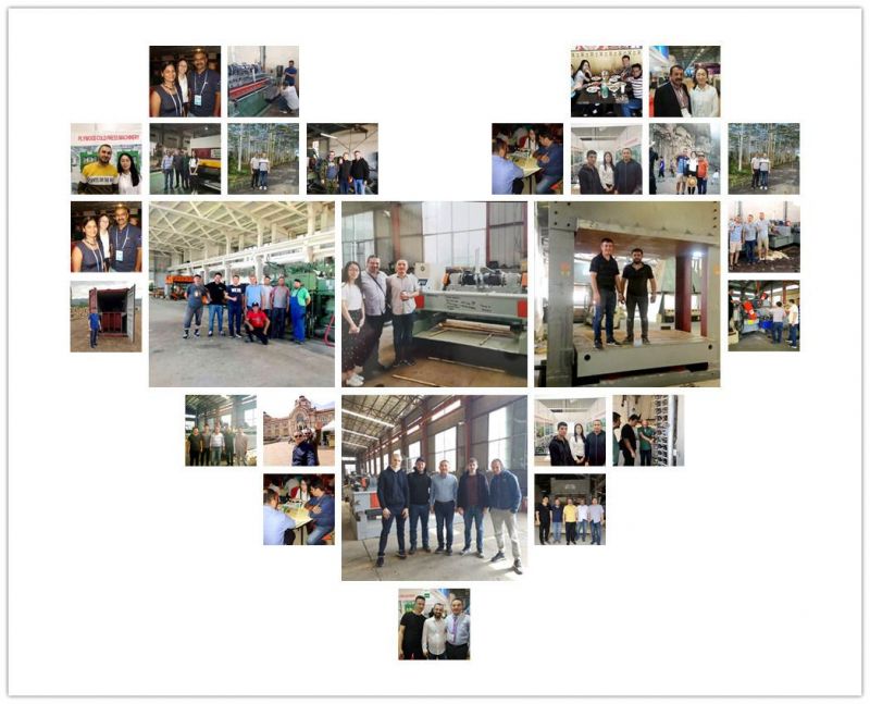 Sander for Plywood Production Line