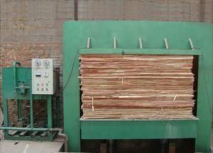 Shining High Quality 400 Tons Cold Press Machine for Plywood with Cheap Price