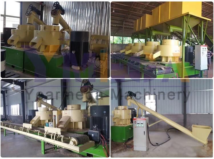 Vertical Ring Die Competitive Coffee Husk Sugarcane Hay Pellet Milling Machine