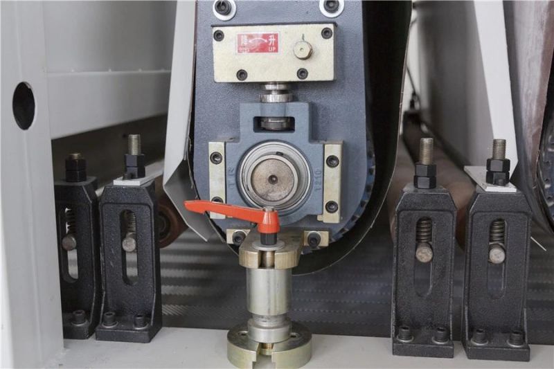Zdr-R1300 Lacquered Wide Belt Sander